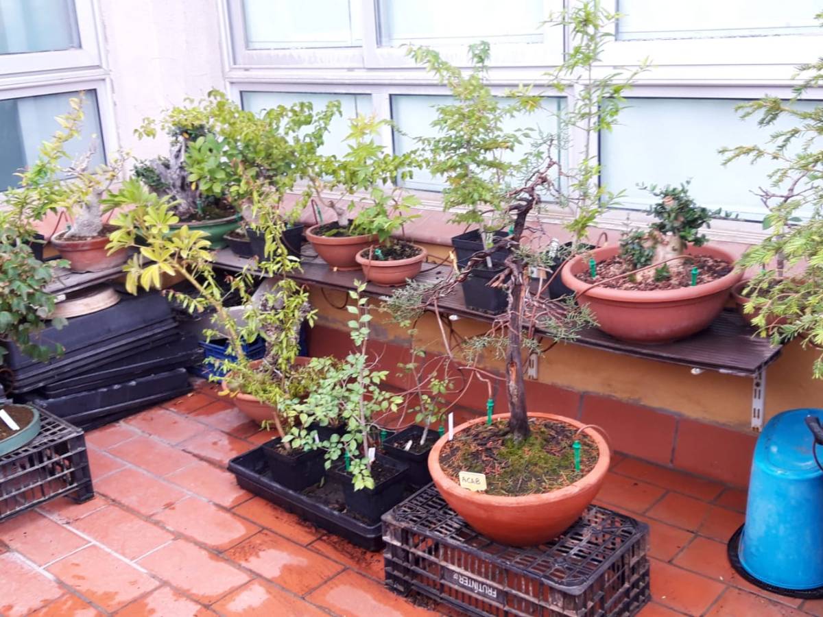 La terrassa de l’Associació