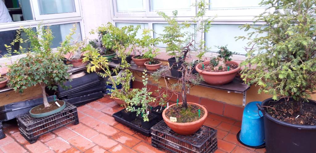 La terrassa de l’Associació